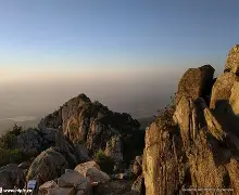 关于山东泰山今夜造点机会，志在意大利杯名次提升，管理层满意，控场能力受关注的信息